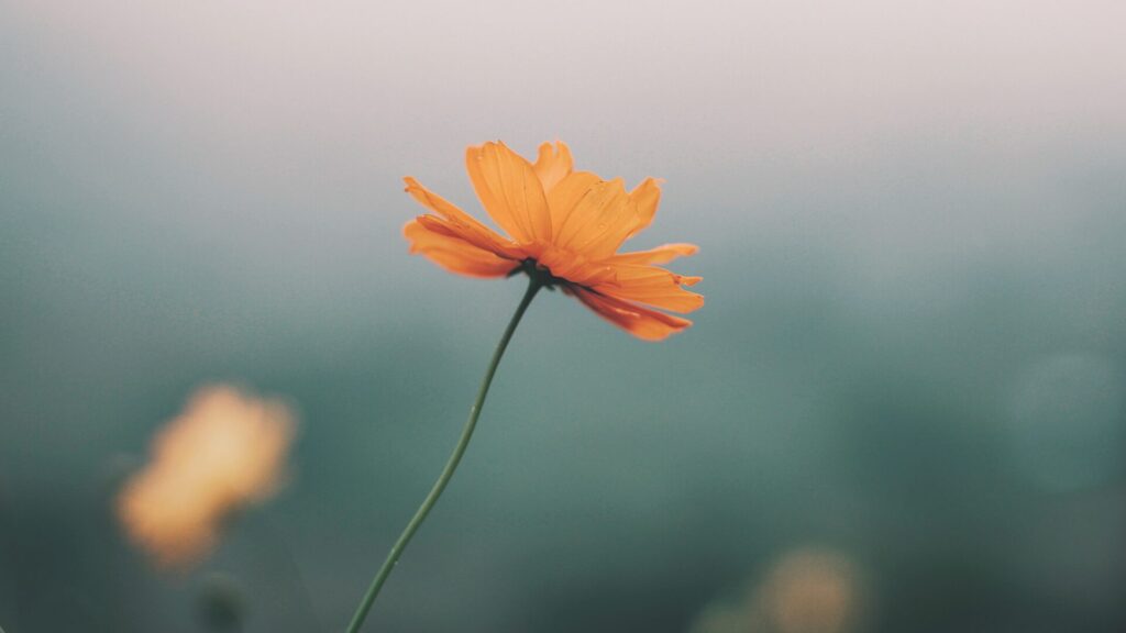 LINEの返信が遅いは嫌われた？理由よりも「やるべき事」と「捉え方」