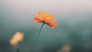 LINEの返信が遅いは嫌われた？理由よりも「やるべき事」と「捉え方」