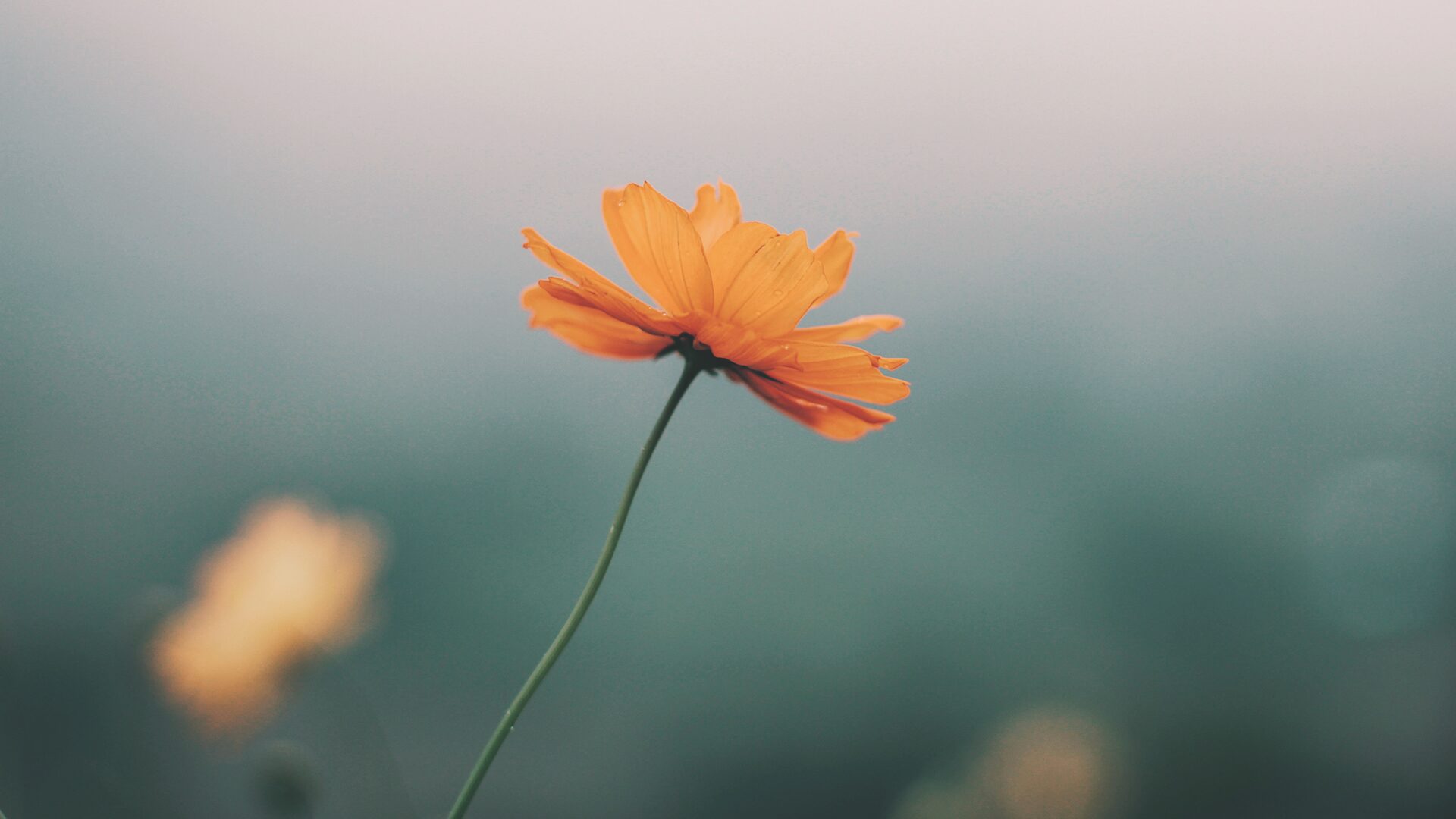 LINEの返信が遅いは嫌われた？理由よりも「やるべき事」と「捉え方」