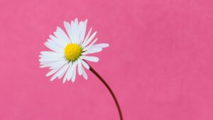 彼氏が冷たいのは冷めたから？一喜一憂しないための考え方と距離感