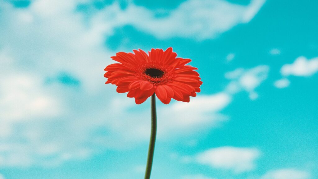 よくある脈なしサインはホント？本音の見抜き方と逆転の可能性