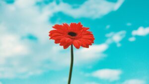 よくある脈なしサインはホント？本音の見抜き方と逆転の可能性