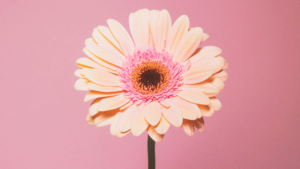 好きか分からないと言われたときの対処法は？関係別と共通する言葉の裏側