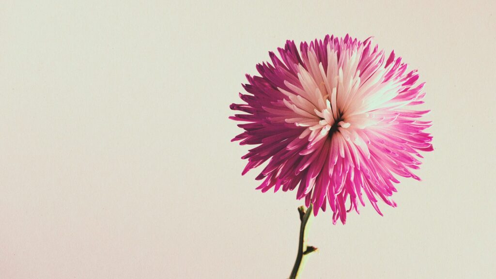 好きか分からないまま付き合う前に。OKするか迷ったときの判断基準