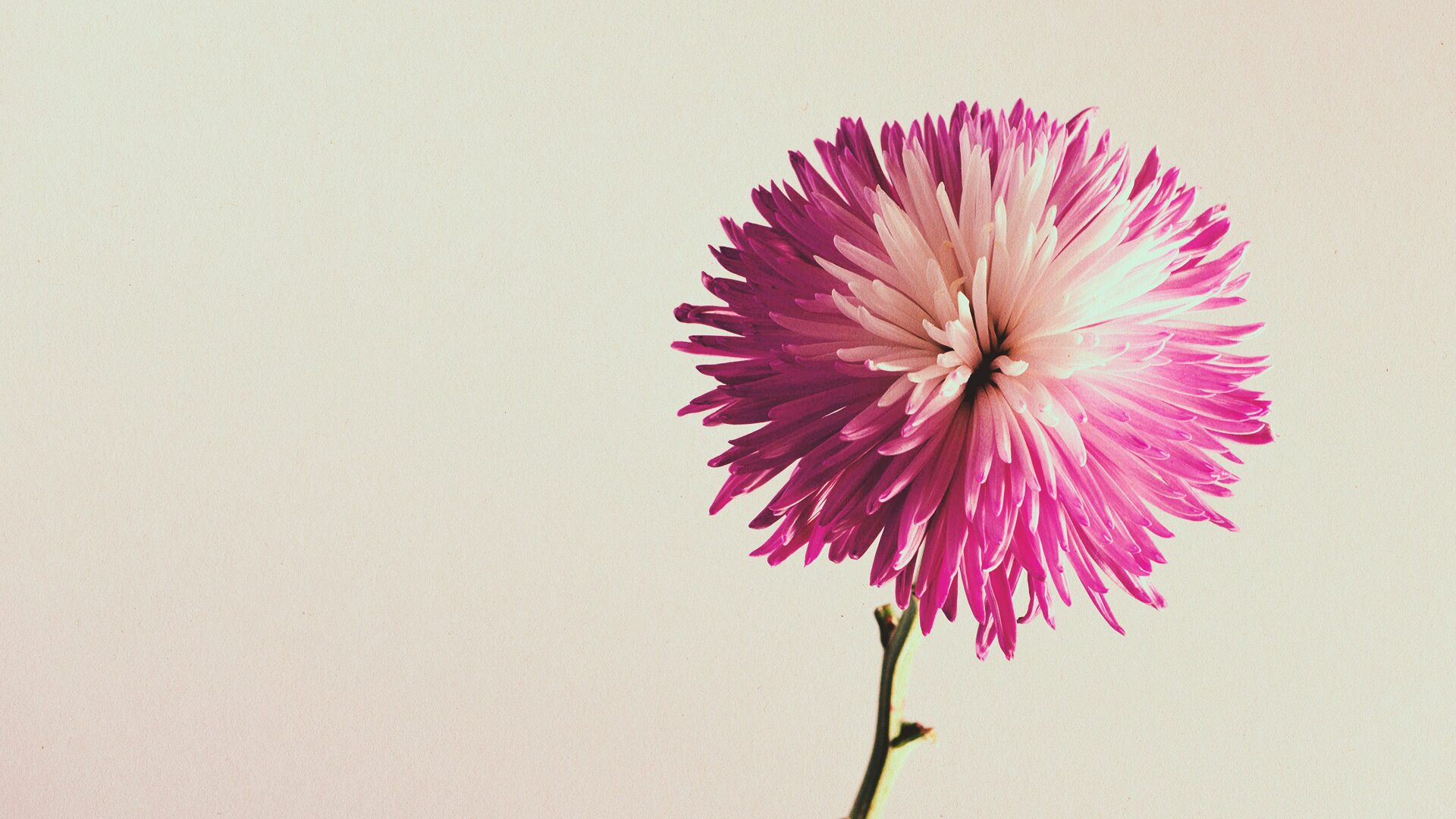 好きか分からないまま付き合う前に。OKするか迷ったときの判断基準