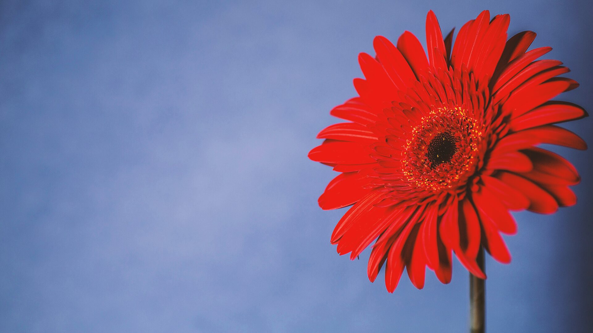 時間が解決してくれる人とそうでない人の決定的な違い