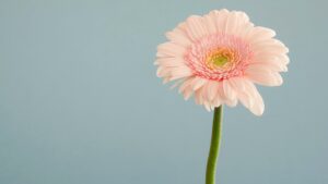 男性の脈ありサインとは？行動・LINE・インスタでわかる好意の見抜き方